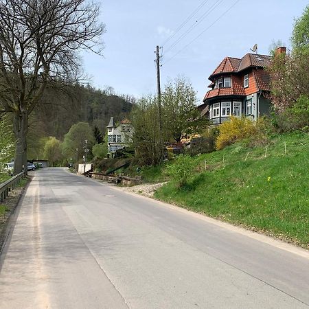 Ferienhaus Andrea Am Bodetal Treseburg Экстерьер фото