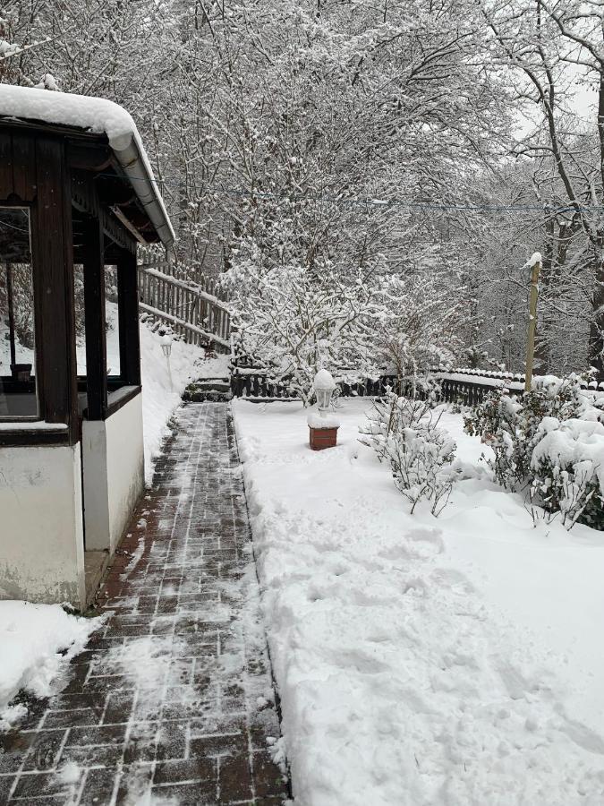 Ferienhaus Andrea Am Bodetal Treseburg Экстерьер фото