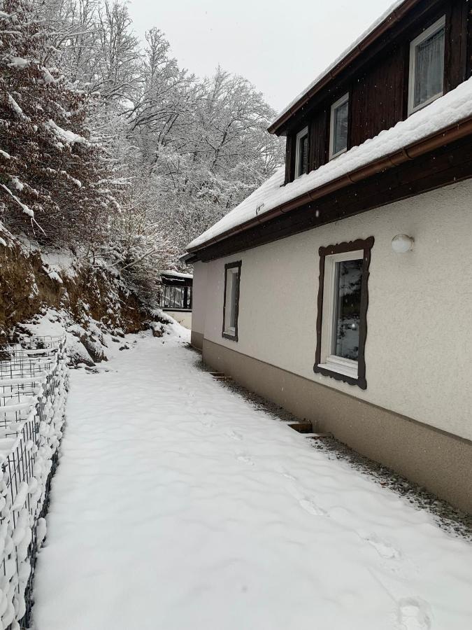 Ferienhaus Andrea Am Bodetal Treseburg Экстерьер фото