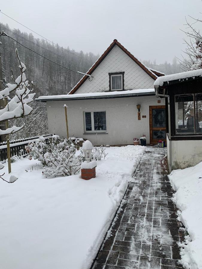 Ferienhaus Andrea Am Bodetal Treseburg Экстерьер фото