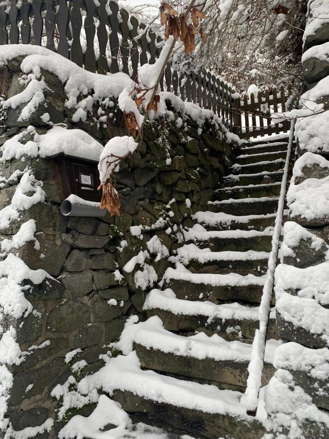 Ferienhaus Andrea Am Bodetal Treseburg Экстерьер фото